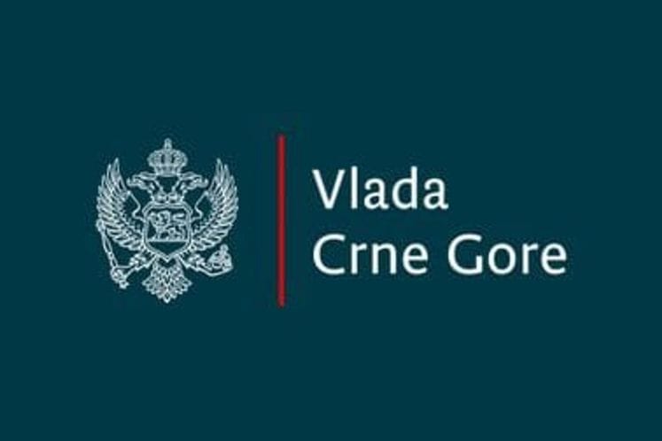 Савјетодавна тијела Владе